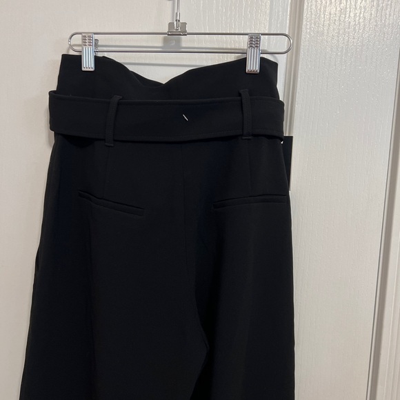 Aritzia Babaton Power Pants - Picture 5 of 5